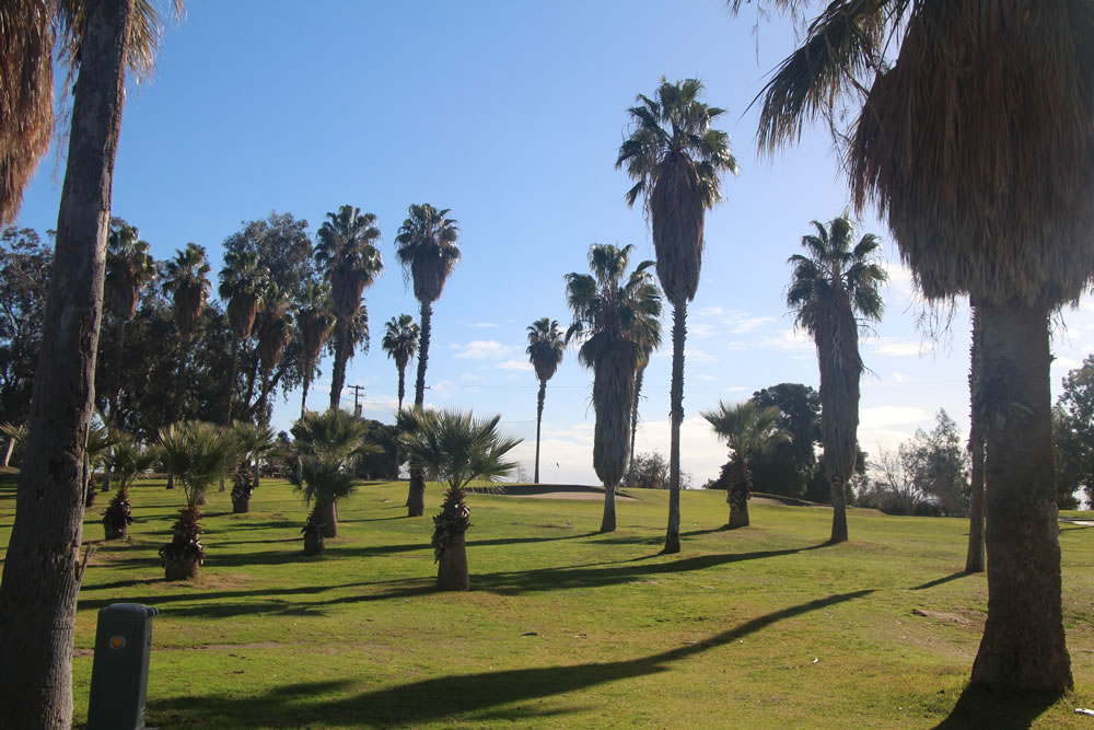 Hole 16 through the trees on the left.